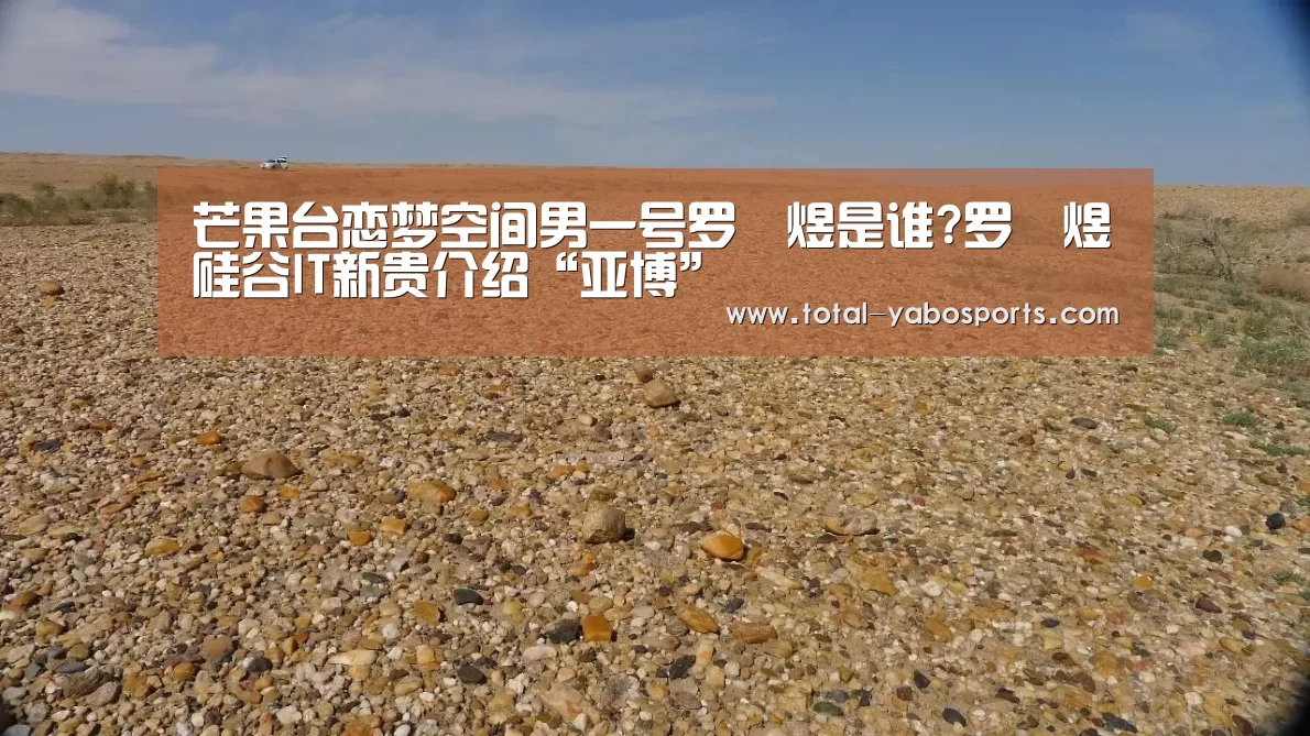 芒果台恋梦空间男一号罗堃煜是谁?罗堃煜硅谷IT新贵介绍“亚博”(图1) 亚博