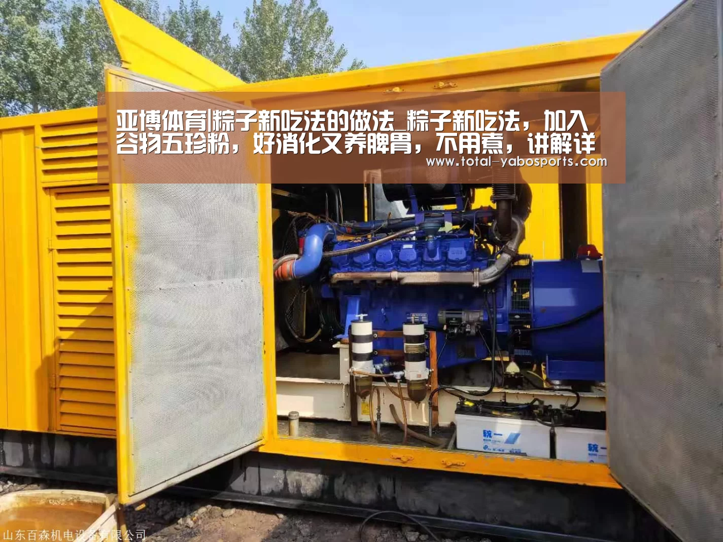 亚博体育|粽子新吃法的做法_粽子新吃法,加入谷物五珍粉,好消化又养脾胃,不用煮,讲解详细,做法简单,新手包会!_粽子新吃法怎么做_(图1) Yabo亚博官方网站