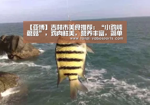 【亚博】吉林市美食推荐:“小鸡炖蘑菇”,鸡肉鲜美,营养丰富,简单做法(图1) 亚博