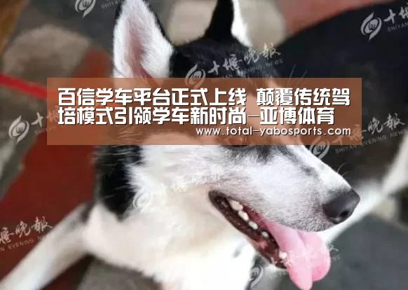 百信学车平台正式上线 颠覆传统驾培模式引领学车新时尚-亚博体育(图4) 亚博体育