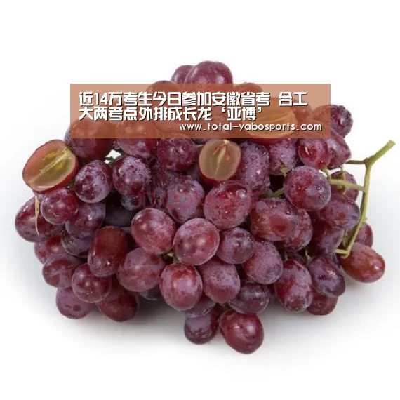 近14万考生今日参加安徽省考 合工大两考点外排成长龙‘亚博’(图1) 亚博