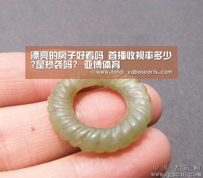 漂亮的房子好看吗 首播收视率多少?是抄袭吗?-亚博体育(图3) 亚博体育