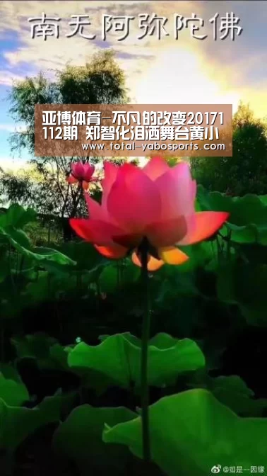亚博